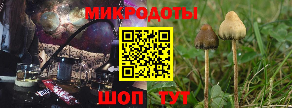 Псилоцибиновые грибы мицелий  Вход с VPN  Кингисепп 